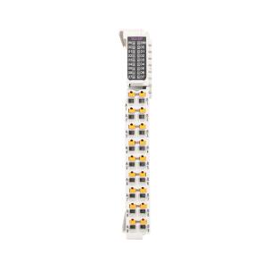 Módulo analógico RP20-0202IV AO com 2 entradas analógicas e 2 saídas analógicas duplas, sinais 4-20mA, 0-20mA, 0-10V e 1-5V, alta precisão e compatibilidade com CLPs e sistemas SCADA industriais